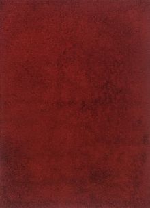 Ковёр 1,70х2,40 Шагги 22