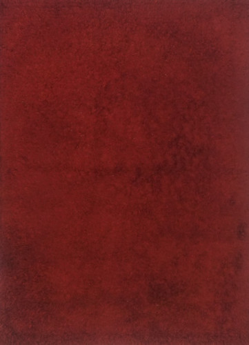 Ковёр 1,70х2,40 Шагги 22