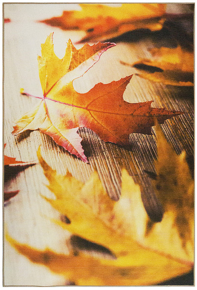 Ковёр 1,50x2,30 Gallery/ Autumn