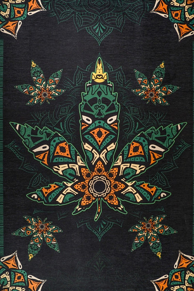 Ковёр 2,00х3,00 VANERA-03 multi colour