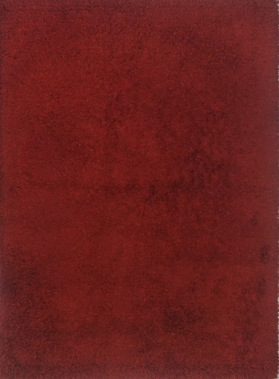 Ковёр 1,70х2,40 Шагги 19