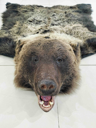 Ковёр Lima 3,78 (медведь)