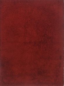 Ковёр 1,70х2,40 Шагги 19