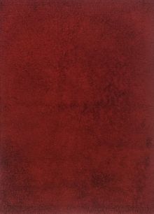 Ковёр 1,70х2,40 Шагги 3